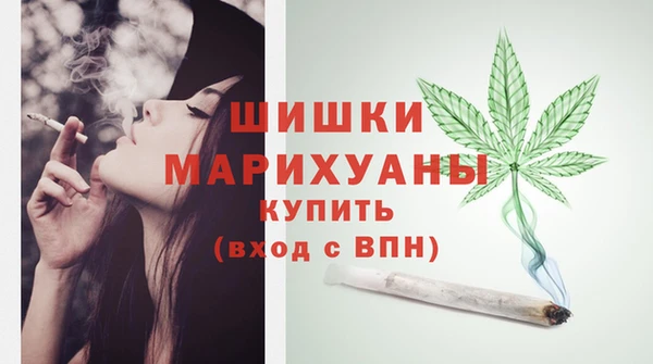 стафф Коряжма
