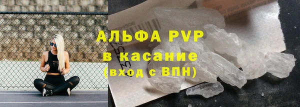 стафф Коряжма