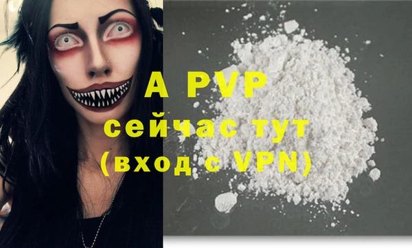 стафф Коряжма