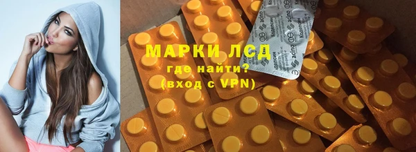 стафф Коряжма