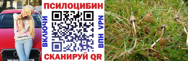 Псилоцибиновые грибы Magic Shrooms  Купить  Балашов 
